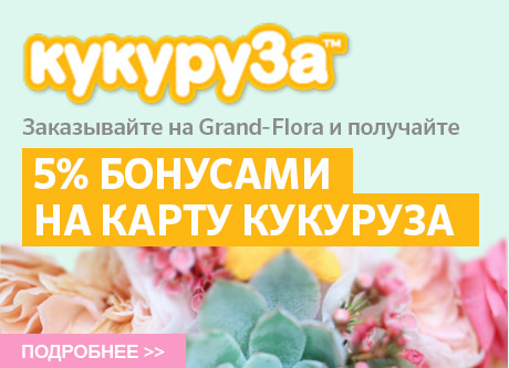 Кукуруза